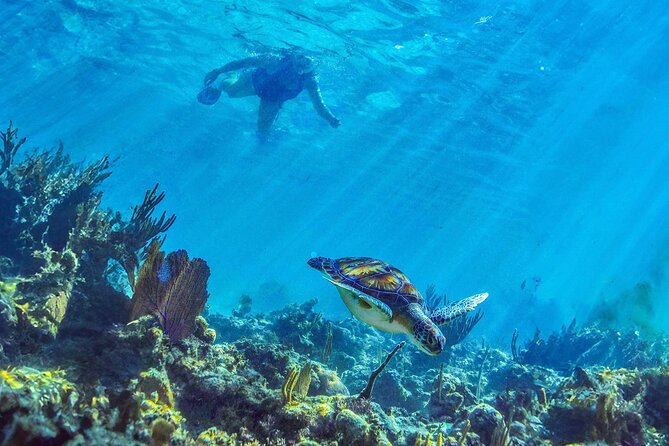 Hidden Cenote Swim: Snorkeling, Sea Turtles and Beachside Lunch - Transportation can change the whole day