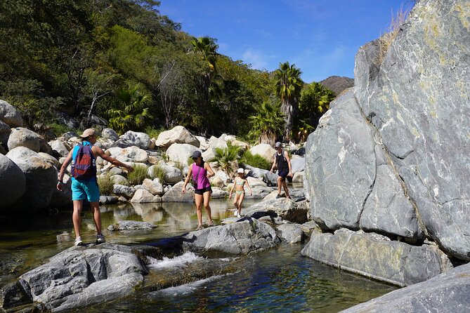 Hidden Waterfalls Hiking Adventure - Should you book the Hidden Waterfalls Hiking Adventure?