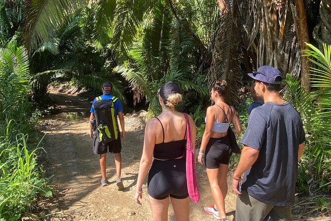 Hike and Yoga Jungle Experience in Mexico - Leaving Sayulita at 9:30 am