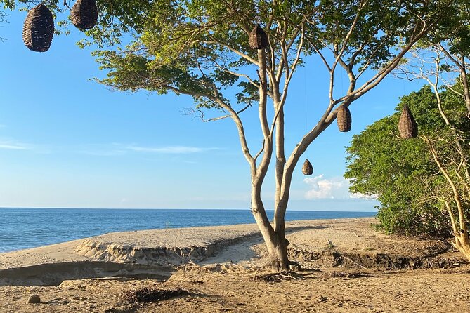 Hike and Yoga Jungle Experience in Mexico - Is $30 a good value?