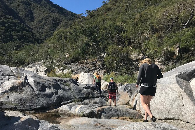Hike the native Pericu road in Sierra de la Laguna. - Key points to know before booking