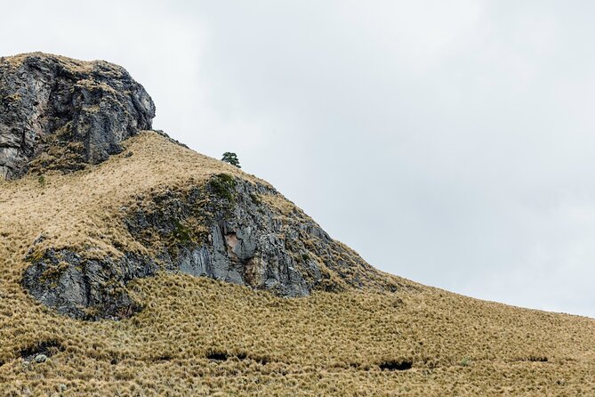 Hiking Tour on the Iztaccíhuatl Volcano from Puebla - The guides and the human side of the day