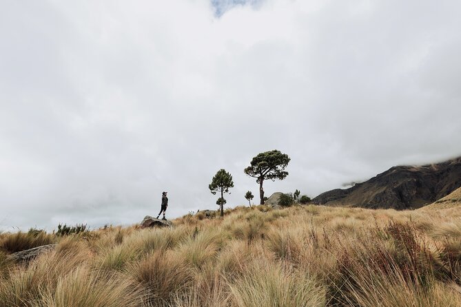 Hiking Tour on the Iztaccíhuatl Volcano from Puebla - Who should book this hike