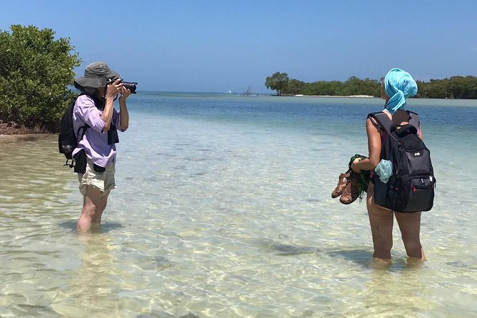 Holbox 3 Island Group Tour - Who will enjoy this tour most