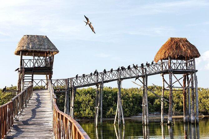 Holbox 3 Island Private Boat Tour - How flexible is the private itinerary?