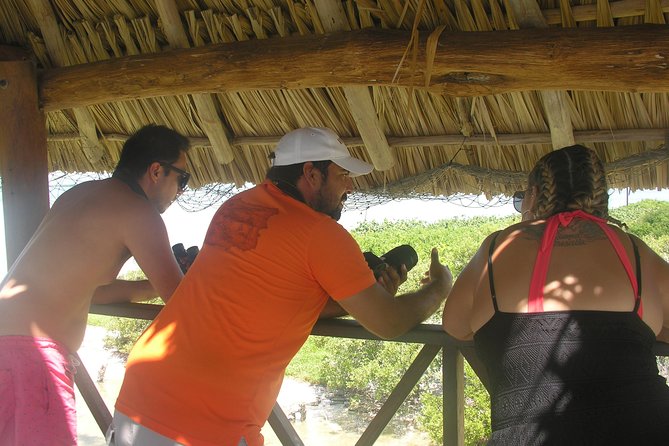Holbox 3 Island Private Boat Tour - What the $346.50 price really buys you