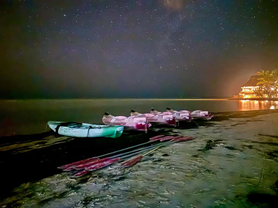 Holbox: Bioluminescence by Kayak and Stargazing. - Swimming through the glowing plankton