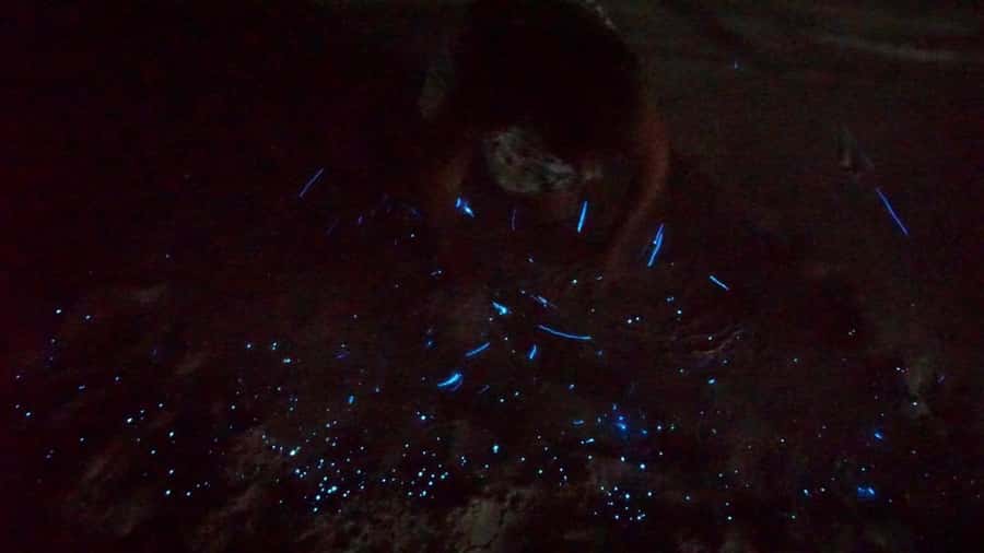 Holbox: Bioluminescence by Kayak and Stargazing. - Stargazing without the resort lights