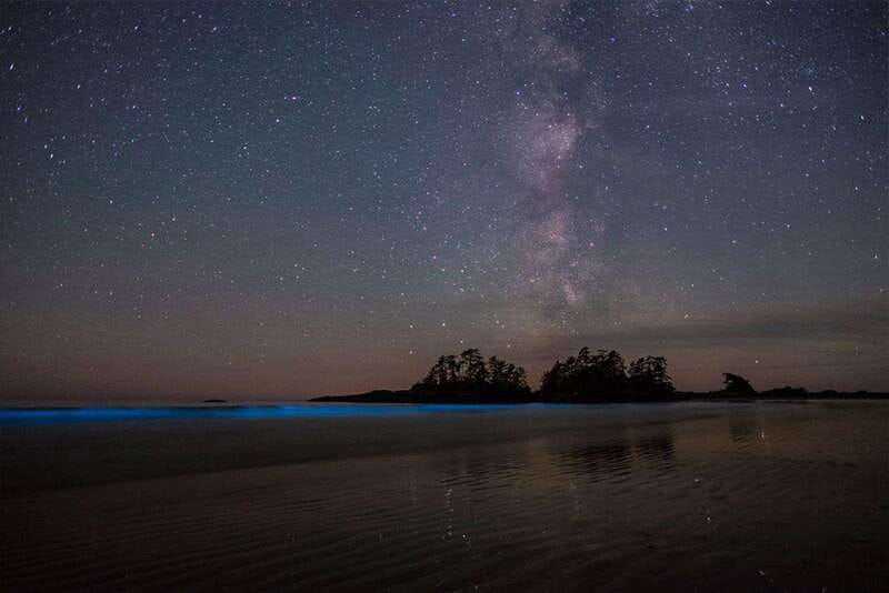 Holbox: Guided Bioluminescence Kayaking Tour - Key points to know before you book