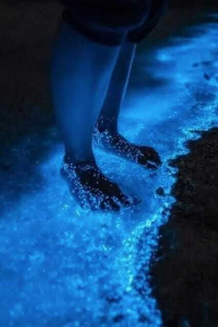 Holbox: Guided Bioluminescence Kayaking Tour - The return paddle and the end of the tour