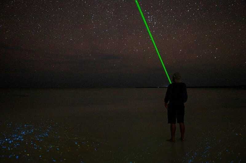 Holbox: Guided Bioluminescence Kayaking Tour - What the $49 price really buys you