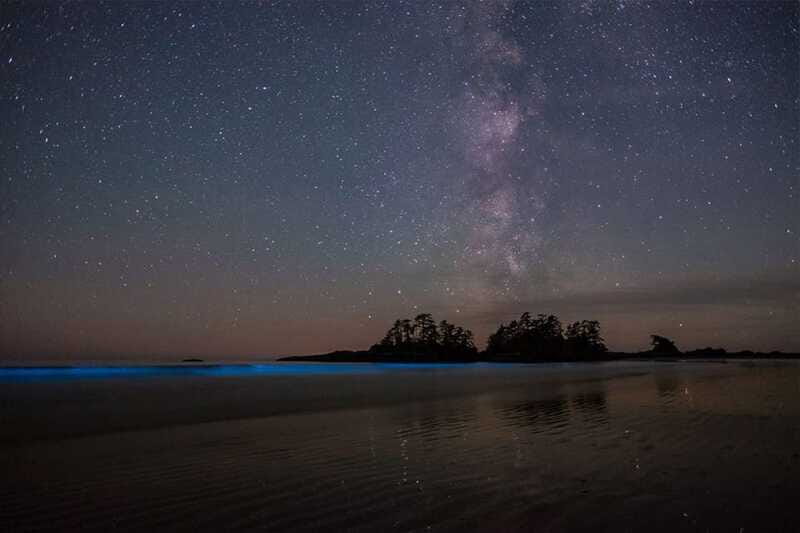 Holbox: Guided Bioluminescence Kayaking Tour - What to bring for a more comfortable outing