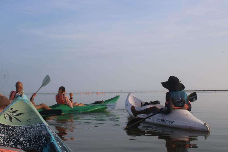 Holbox: Guided Sunrise/Sunset Kayak Tour by Mangrove Reserve - Getting ready for the water