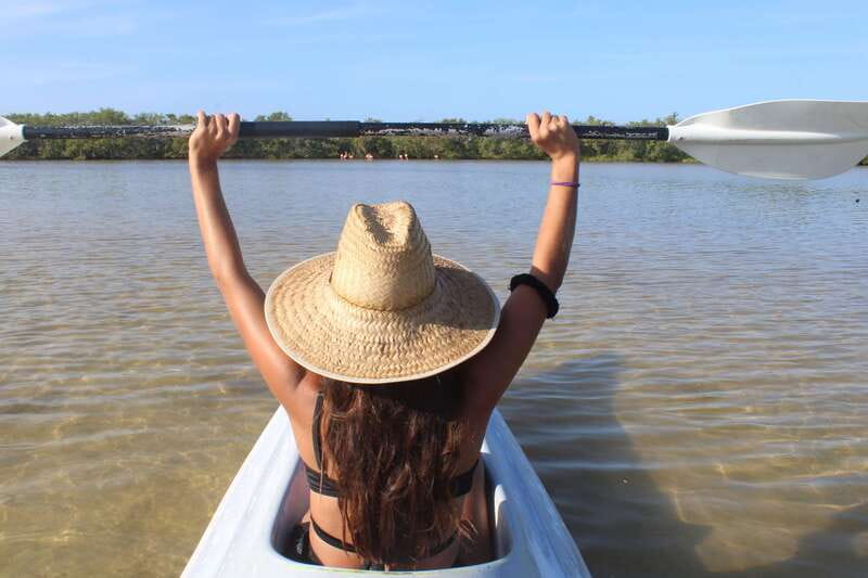 Holbox: Guided Sunrise/Sunset Kayak Tour by Mangrove Reserve - Wildlife, from flamingos to crocodiles