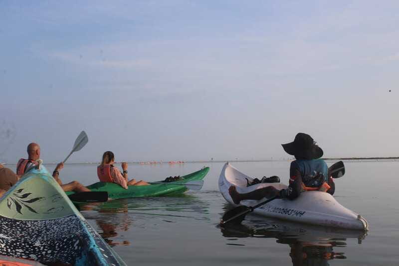 Holbox: Guided Sunrise/Sunset Kayak Tour by Mangrove Reserve - What the $49 price really covers