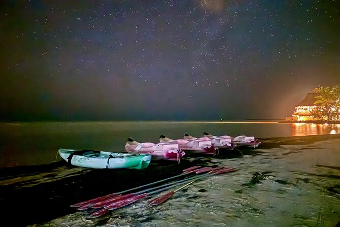 Holbox Kayak Bioluminescence Experience - Key points before you paddle