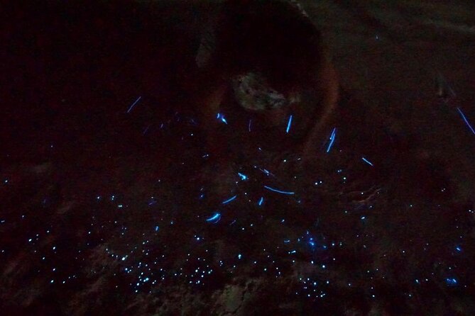 Holbox Kayak Bioluminescence Experience - Why the water can look like scattered stars