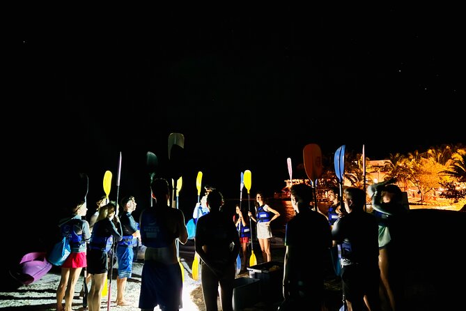 Holbox Kayak Bioluminescence Experience - Swimming among the plankton