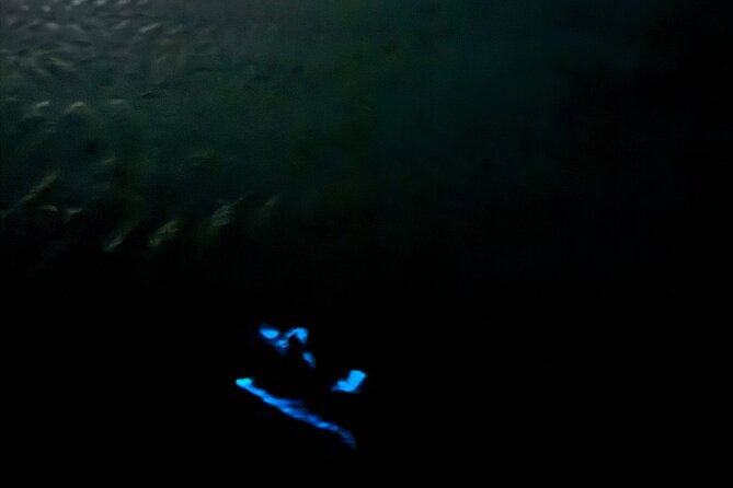 Holbox Kayak Bioluminescence Experience - The night sky is half the show