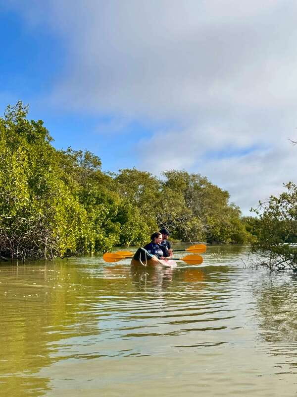 Holbox: Mangrove Sunset Kayak Tour - Who will enjoy this most?