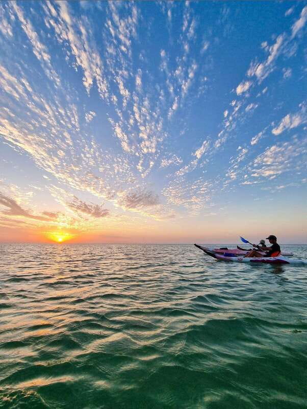 Holbox: Mangrove Sunset Kayak Tour - Birds, crocodiles, and changing seasons