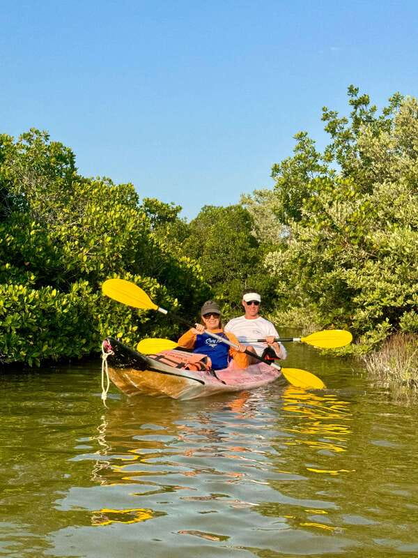 Holbox: Mangrove Sunset Kayak Tour - What the guides add to the experience