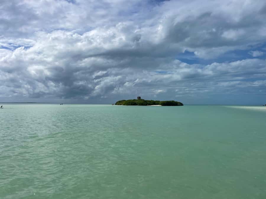 Holbox: Punta Mosquitos, Yalahau, & Pasión Island Boat Tour - Punta Mosquitos: the strongest stop for birds
