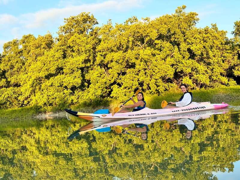 Holbox: Sunrise & Mangrove Kayak Tour - Why this sunrise paddle feels different from a standard Holbox tour