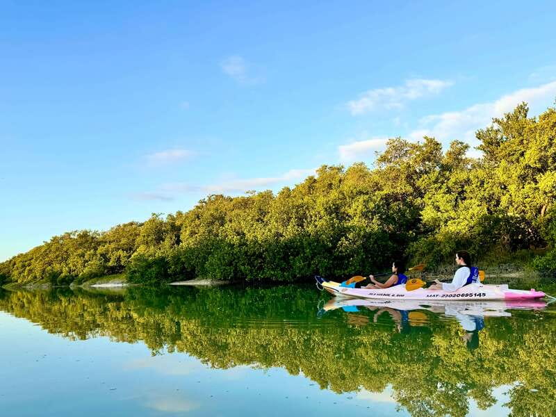 Holbox: Sunrise & Mangrove Kayak Tour - What the guides add to the morning