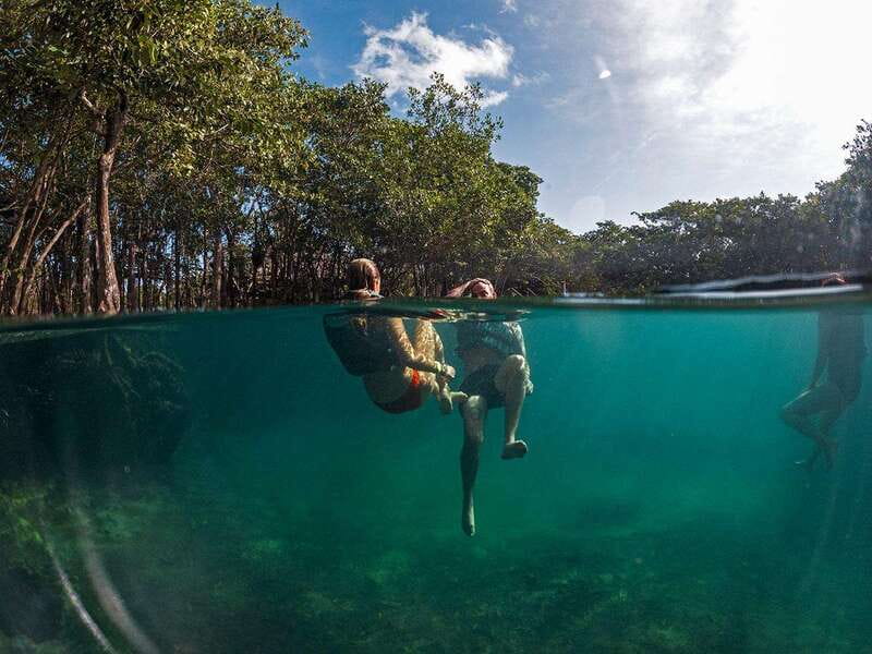 Holbox: Yum Balam Reserve Classic Boat Tour - What the $36 Holbox boat tour really gives you
