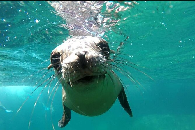 holy spirit island tour - Reaching Isla Espíritu Santo by boat