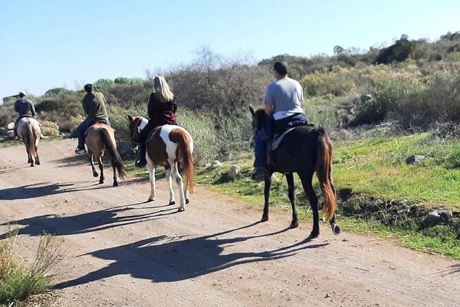 Horseback Mountain Trail Ride - Cost and value at $60