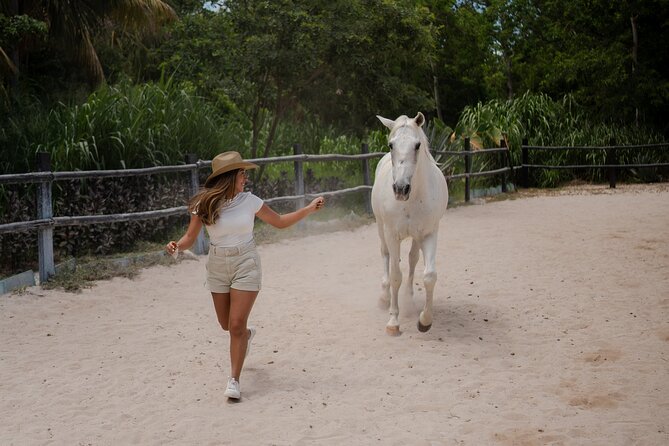 Horseback Riding and Cenote Swim from Cancun or Playa del Carmen - Why the rescue-horse story matters