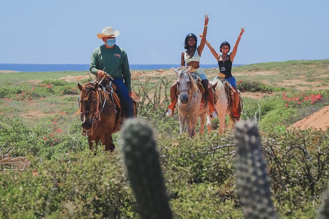 Horseback Riding Beach and Desert in Cabo - Key Points Before You Book