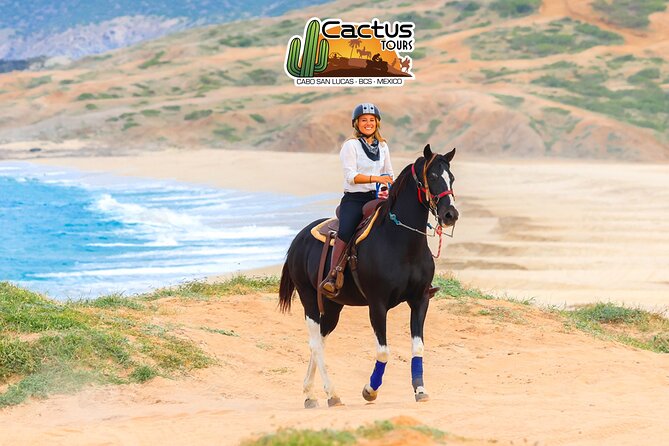 Horseback Riding Beach and Desert in Cabo - What the $85 Price Really Covers