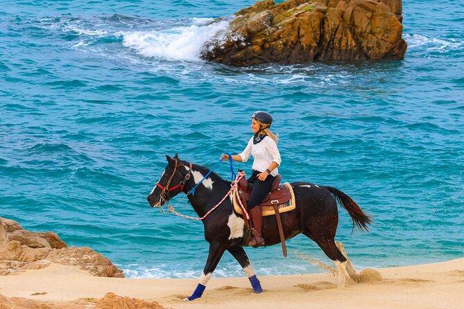 Horseback Riding Beach and Desert in Cabo - Who Will Enjoy This Cabo Horseback Ride