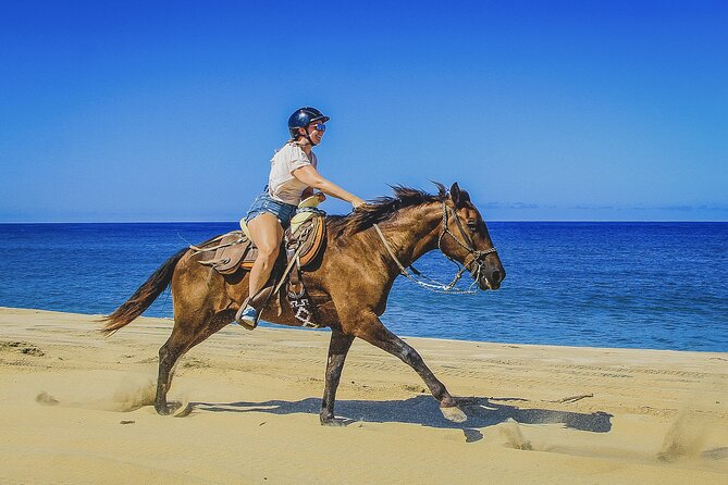 Horseback Riding Beach and Desert in Cabo - Meeting the Horses and Starting Across the Desert