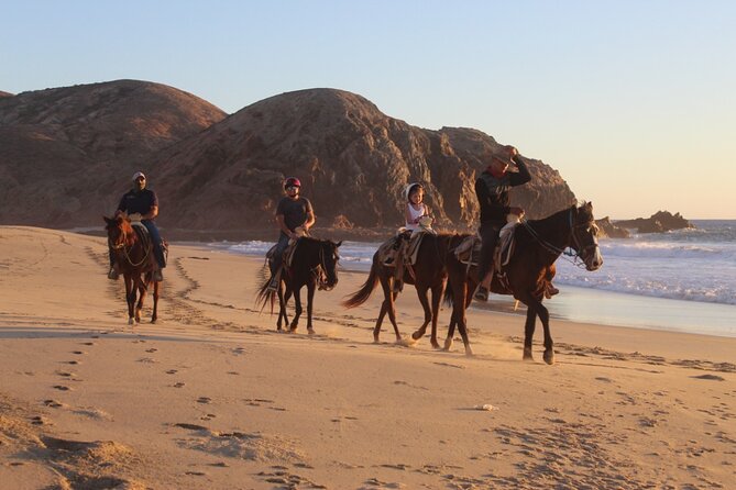 Horseback Riding Experience in Rancho San Cristobal - A ranch ride close to Cabo San Lucas