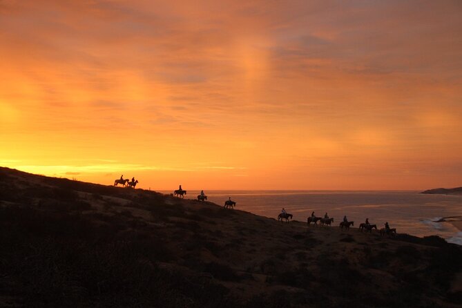 Horseback Riding Experience in Rancho San Cristobal - Across sand, hills, and desert terrain