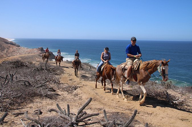 Horseback Riding Experience in Rancho San Cristobal - The history and natural life along the route