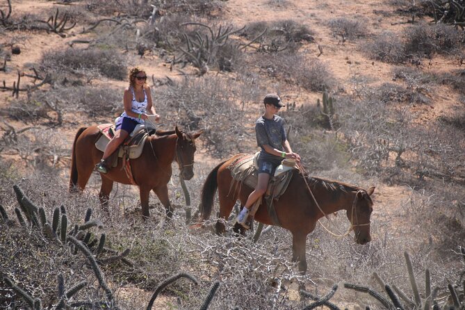 Horseback Riding Experience in Rancho San Cristobal - Quesadillas at the Quelele restaurant