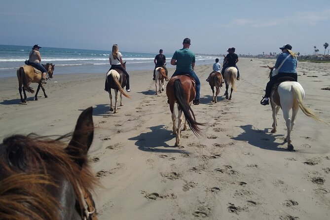 Horseback Riding on the Beach from Ensenada - What the Horses and Guides Add
