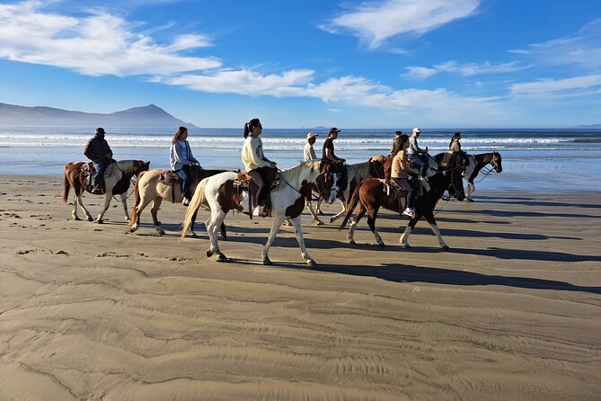 Horseback Riding on the Beach from Ensenada - Pace, Comfort, and the One Physical Warning