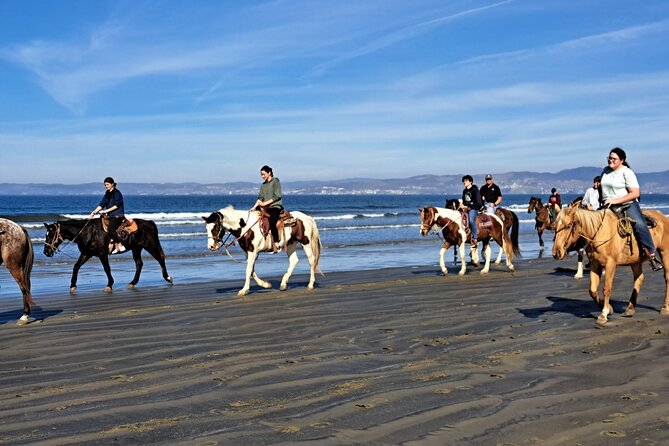 Horseback Riding on the Beach from Ensenada - Is $95 a Fair Price?