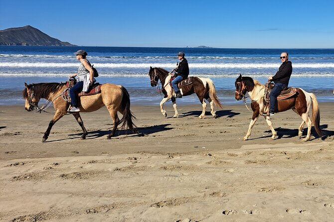 Horseback Riding on the Beach from Ensenada - Who Should Book This Ensenada Ride?