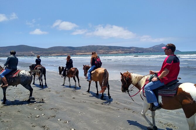 Horseback Riding on the Beach from Ensenada - Five Minutes Later, the Pacific Shore