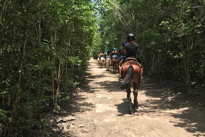 Horseback Riding plus ATV, Cenote, Ziplines, and Lunch - Lunch, purified water, and extra charges