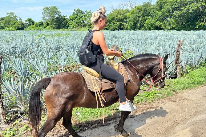 Horseback Riding & Swim: Tequila Tasting, BBQ & Margaritas - The staff and the beginner experience