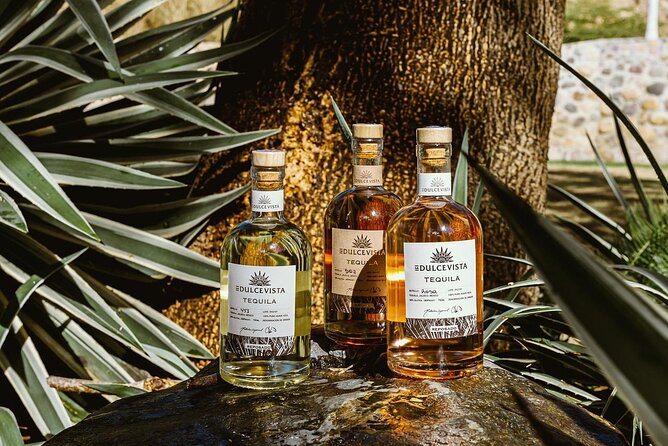 Horseback Riding & Swim: Tequila Tasting, BBQ & Margaritas - Choosing the right horse at Hacienda Dona Engracia