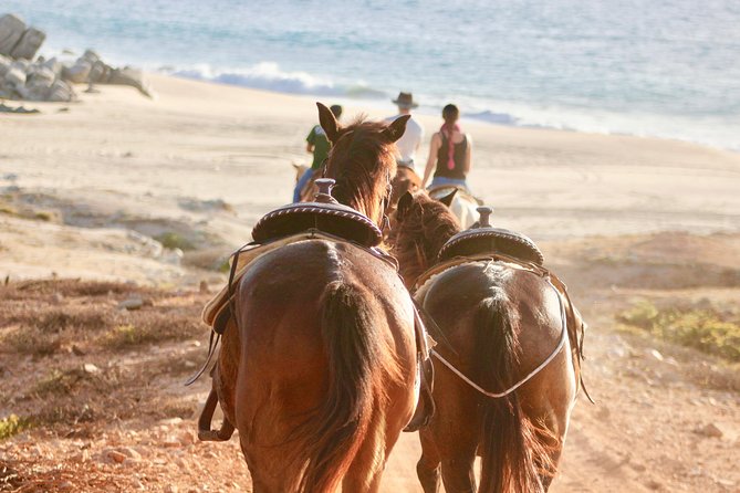 Horseback Riding Tour in Cabo San Lucas - Riding from the Baja ranch to the Pacific